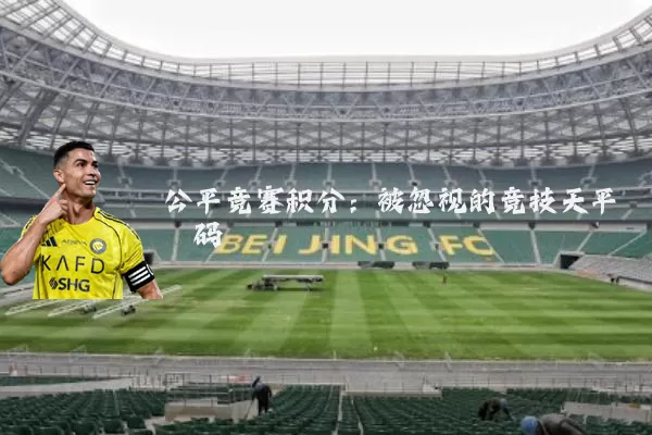 公平竞赛积分：被忽视的竞技天平砝码